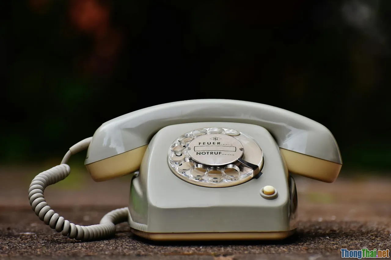 emergency numbers, quick reference, info card