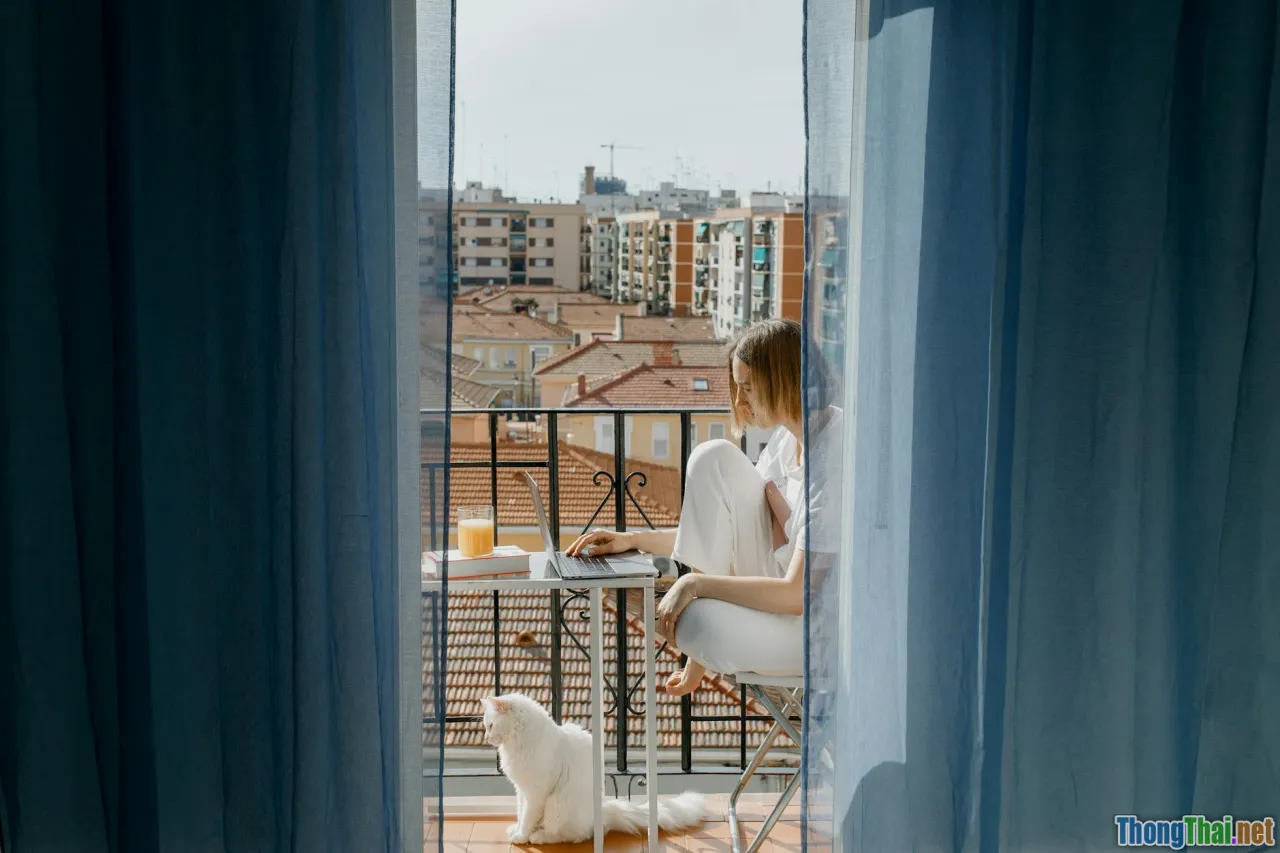 energy boost afternoon, tea break, productivity, sunlight office