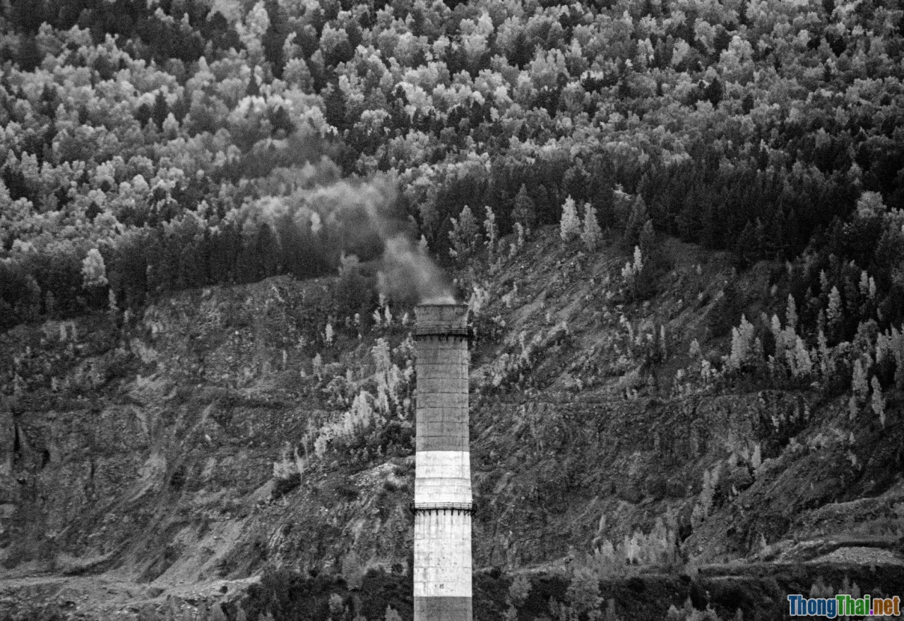 environmental impact, Vietnamese forest, pollution