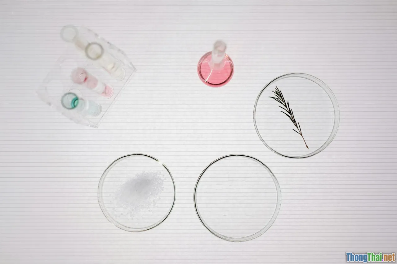 evidence, clinical research, outcomes, RCTs