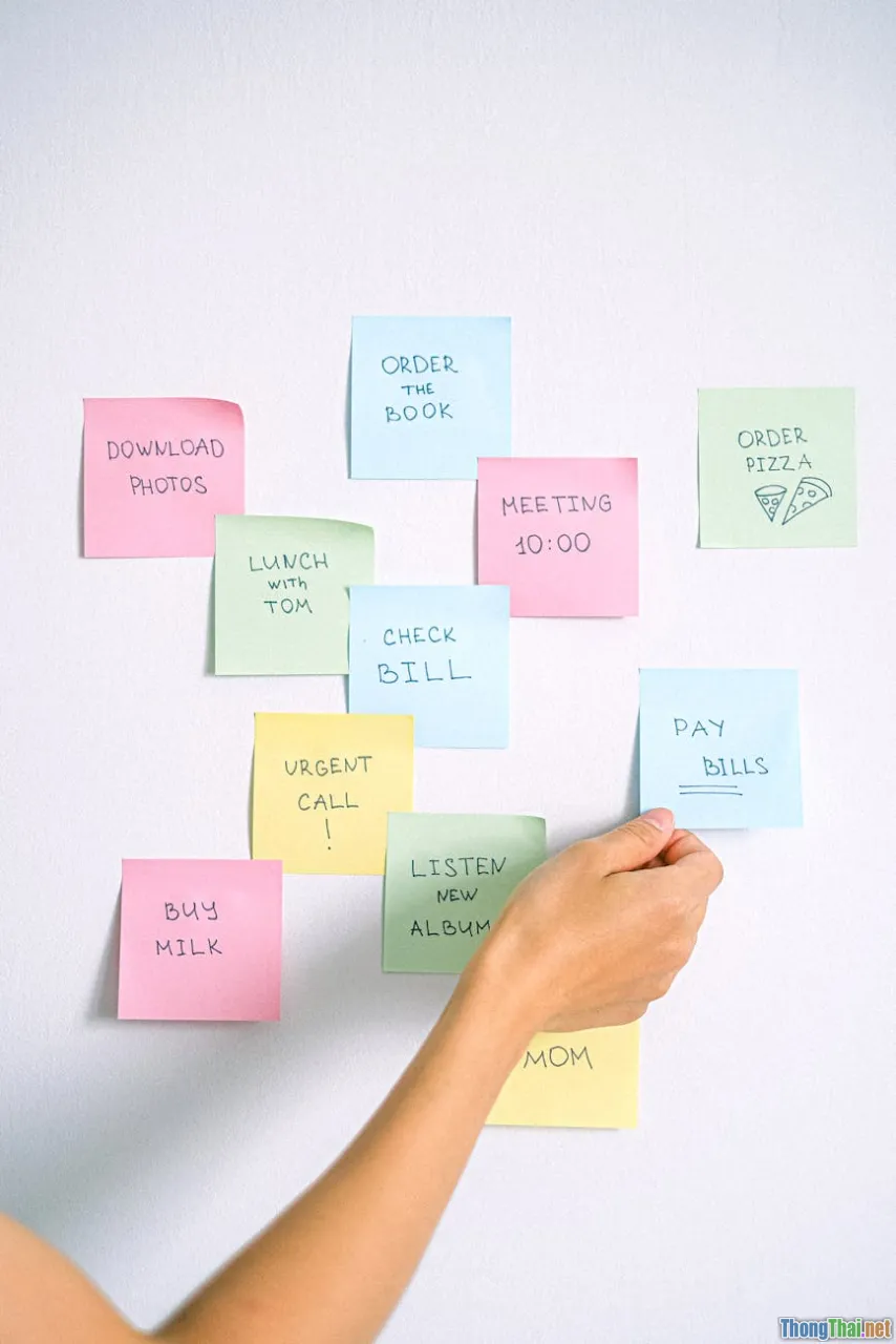 expiration, checklist, maintenance, reminders