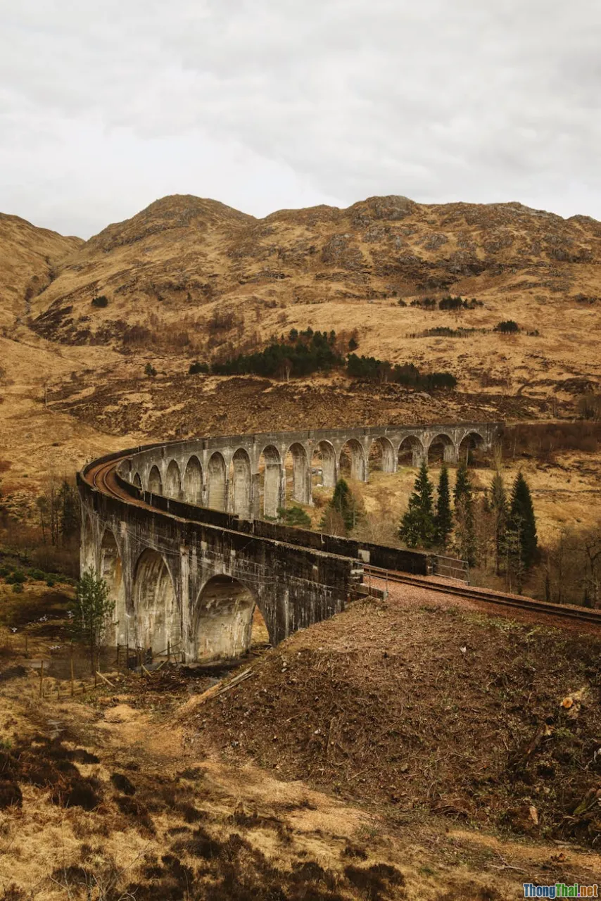 exploration, adventure archetype