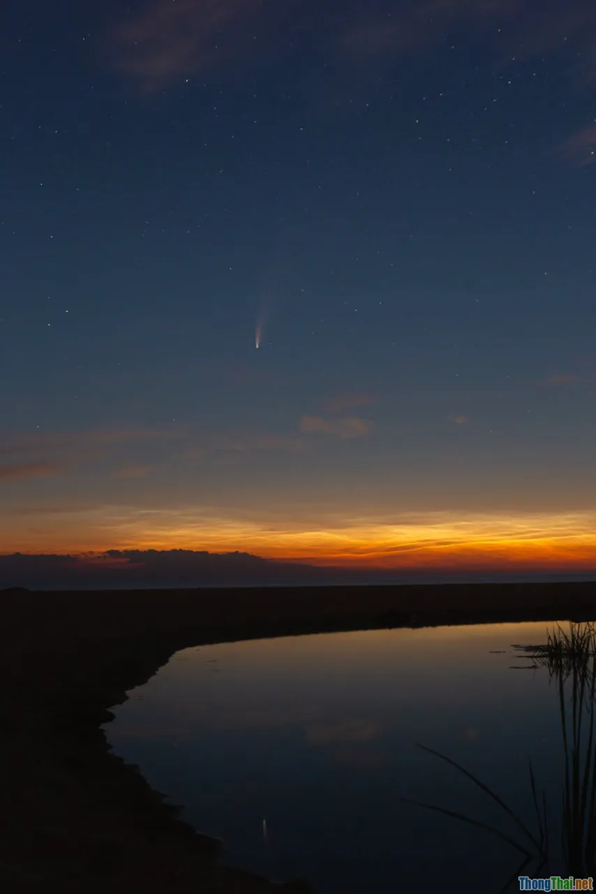 facebook, reels, in-stream ads, stars