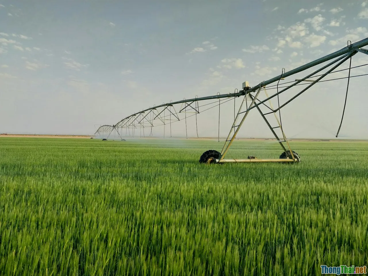 farm automation, resource savings, cost efficiency