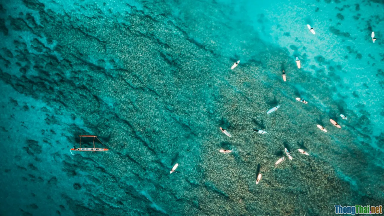 Finding Nemo, Marlin and Dory, coral reef, ocean journey