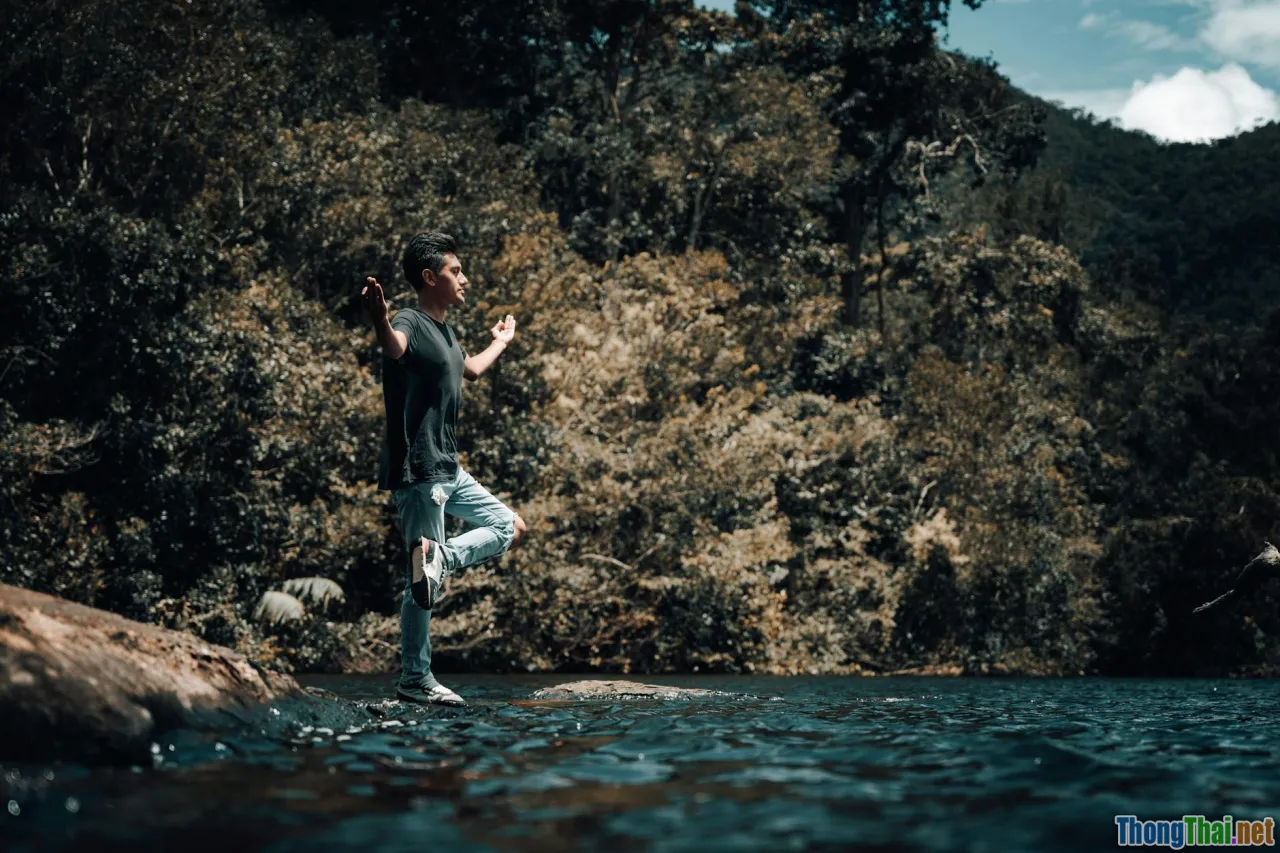 Liệu pháp rừng Nhật Bản với người làm việc văn phòng