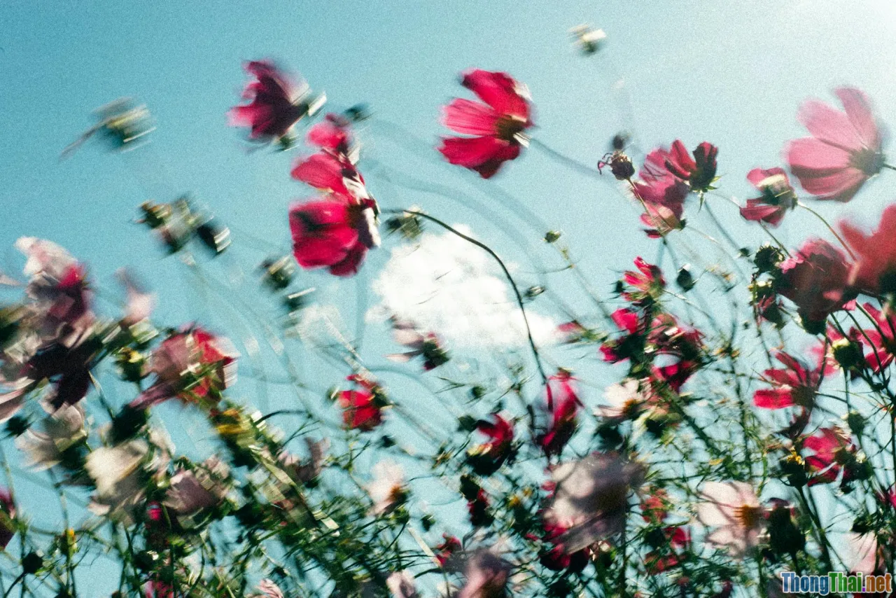 fresh start, energizing, personal growth