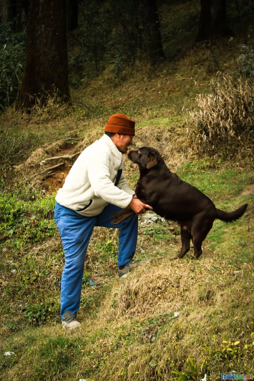 human animal bond, friendship