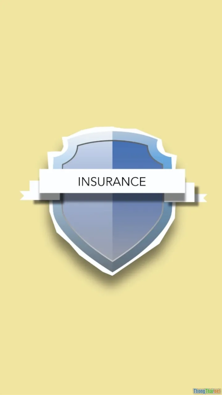 insurance, financial safety, protection shield