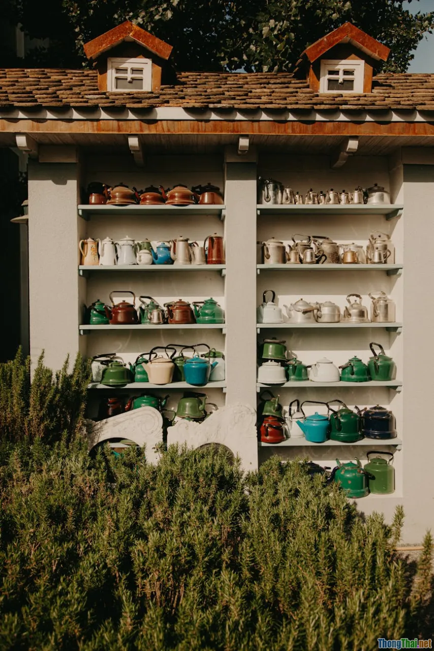 kitchen corner garden, vertical shelf plants