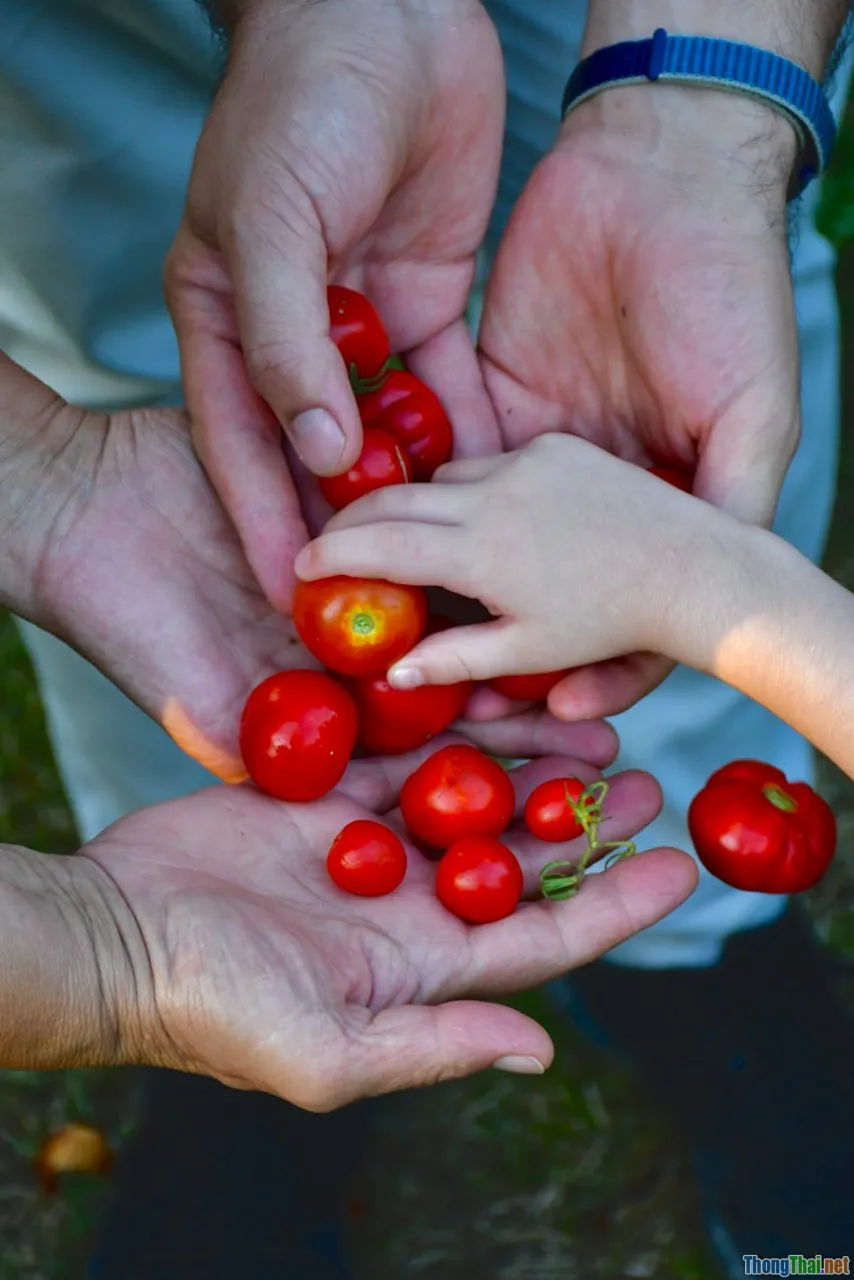 lactose intolerance, digestion, kids health