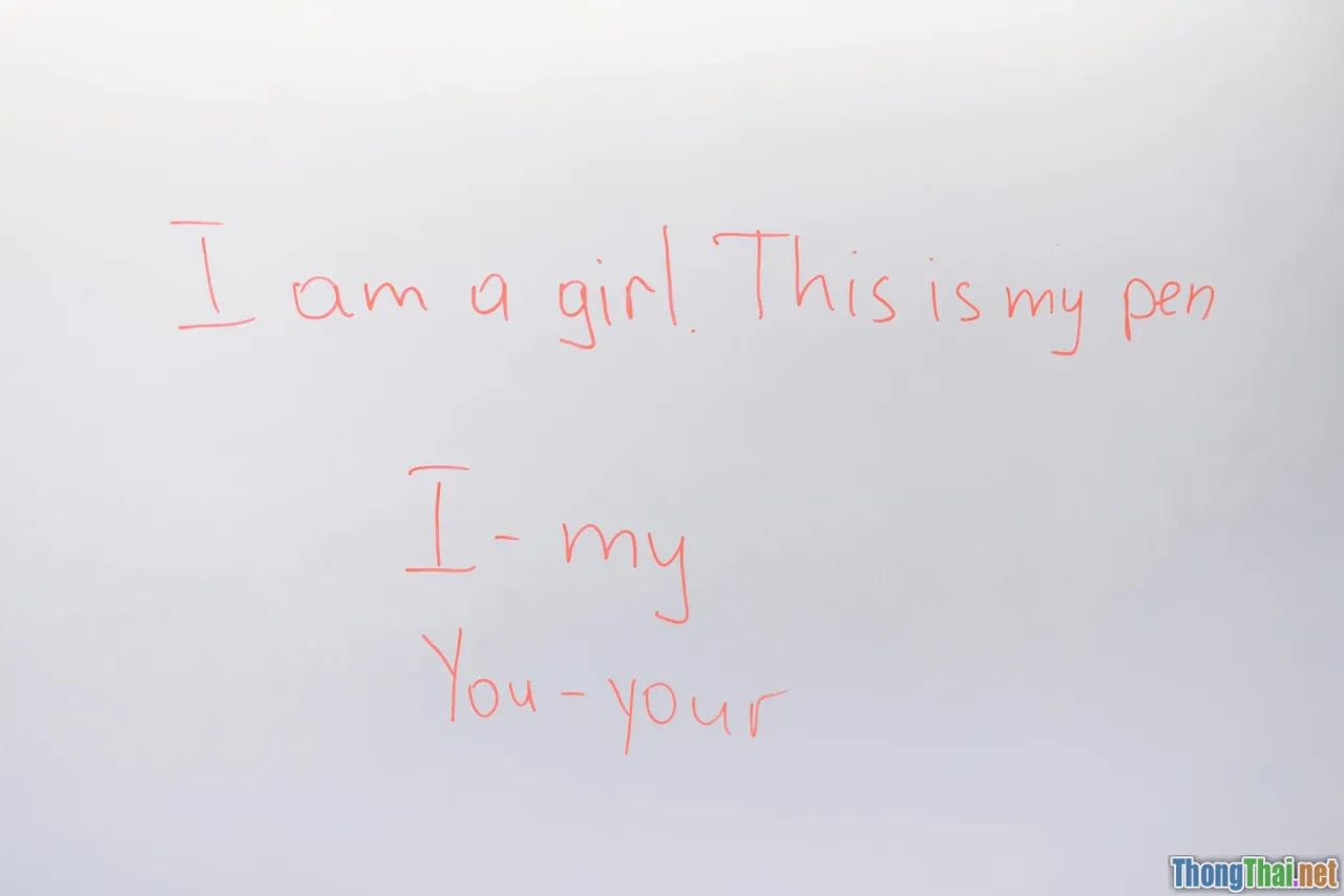 language experts, linguists, classroom