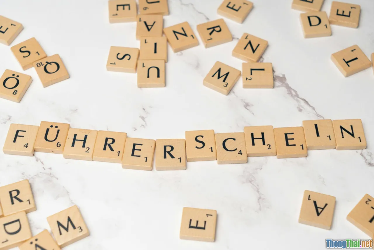 license, WordPress plugin, multilingual, certificate