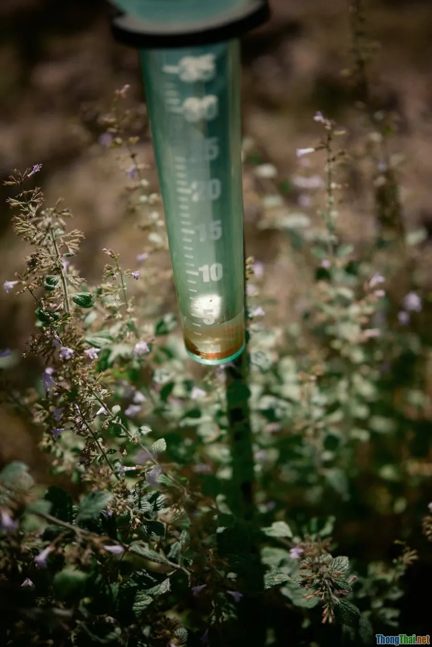 light meter app, hygrometer, scale, plant journal