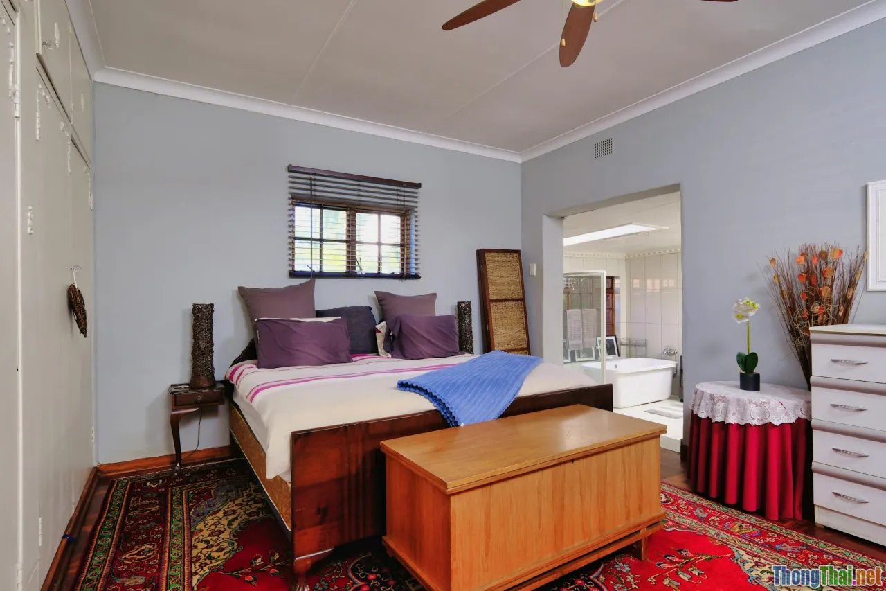 living room, bedroom, kitchen