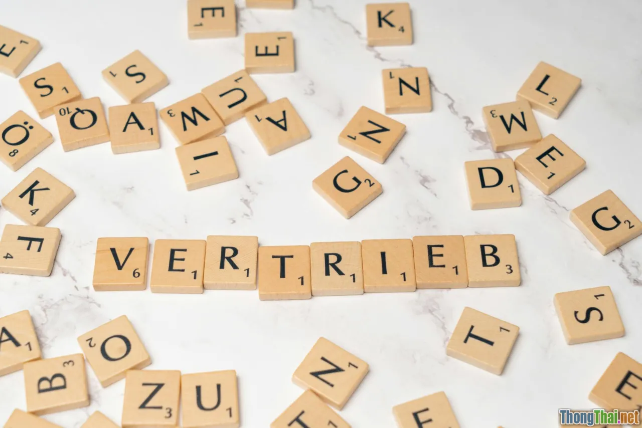 marketing strategy, customer loyalty, digital product sales