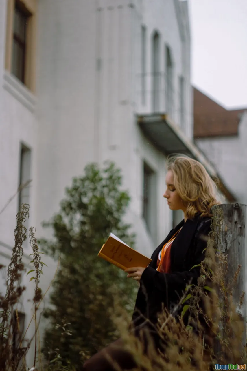 mindfulness, meditation, present moment, learning