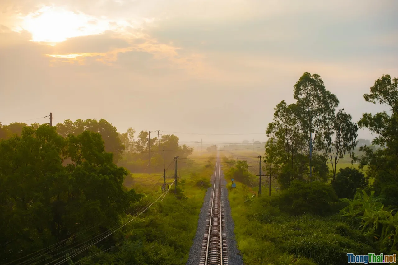 morning sunlight, blue light, light therapy, outdoors