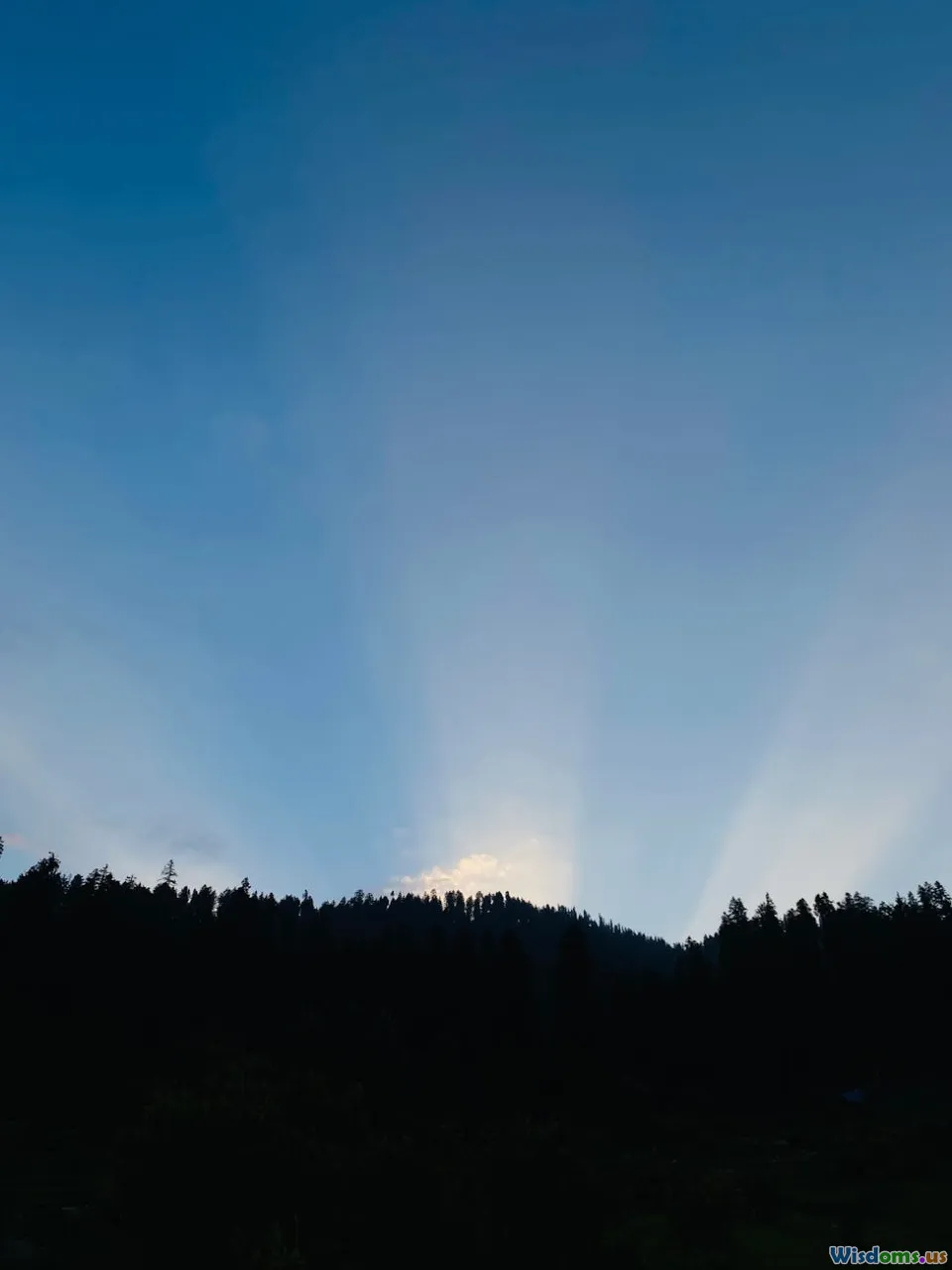 morning sunlight, blue light