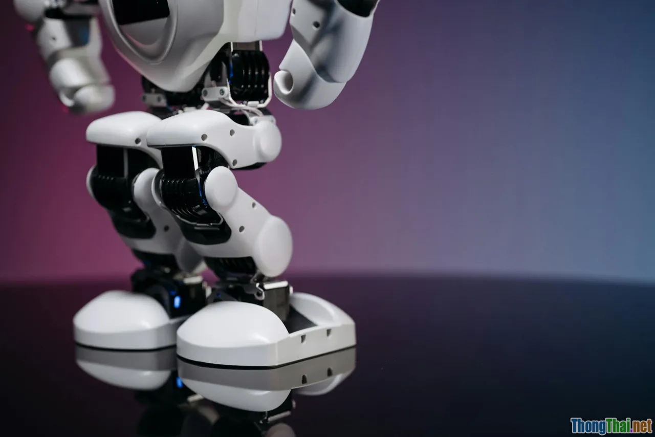 morphology, forms, advanced, structure