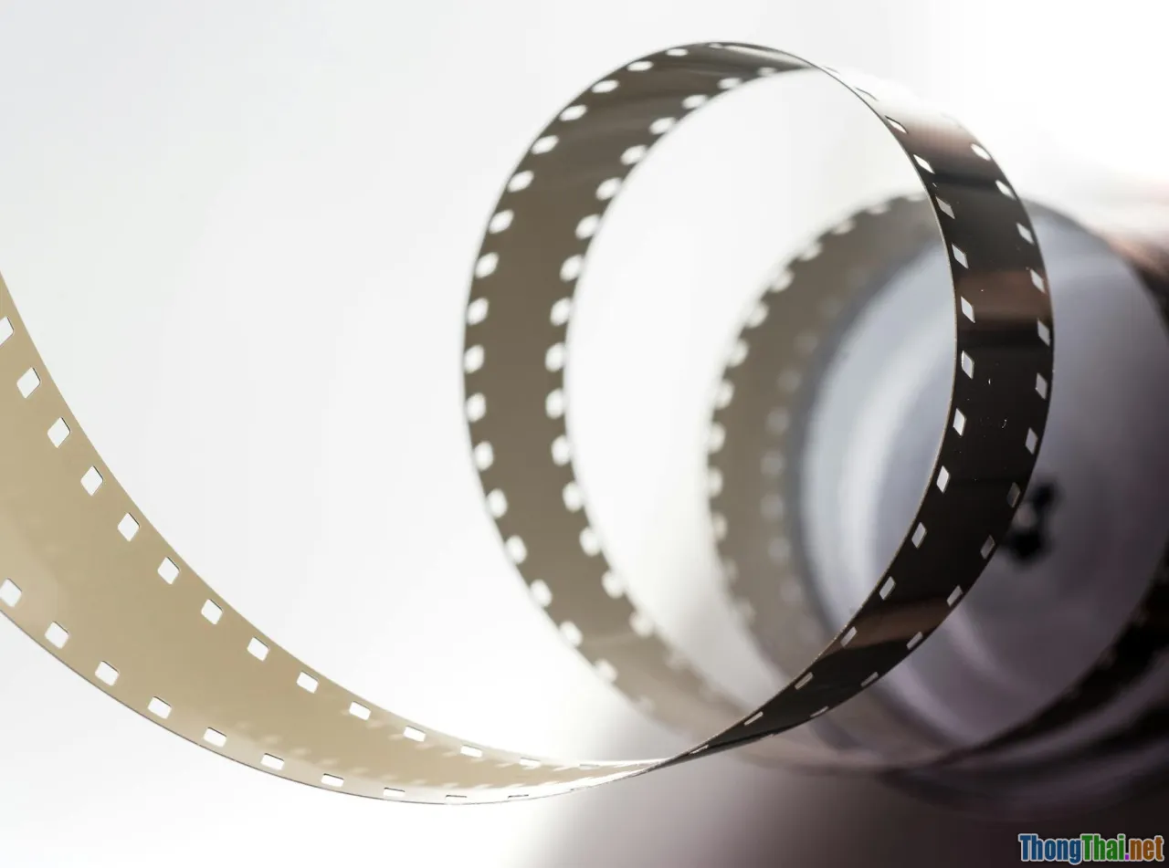 movie rating, film reel, best documentaries