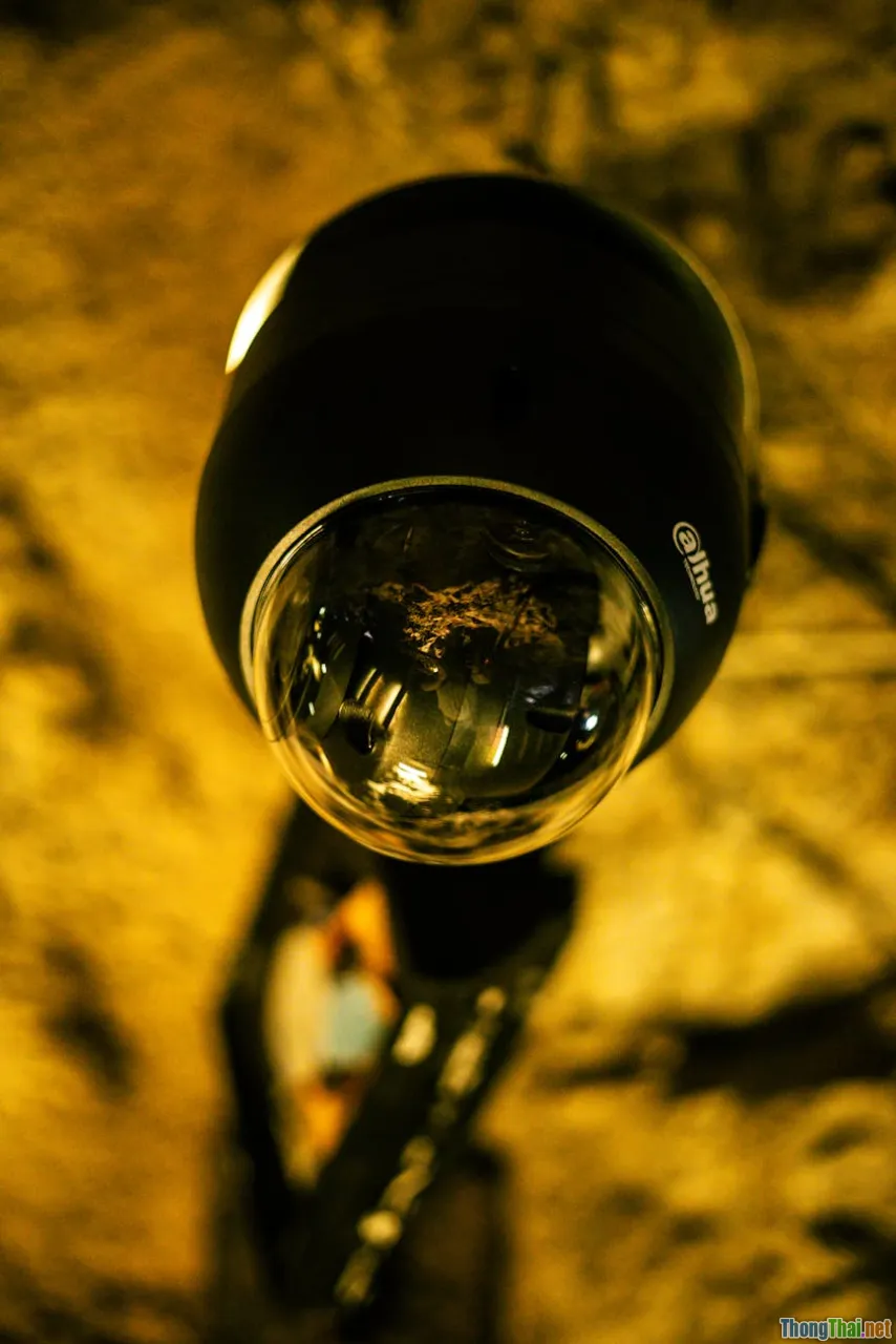 network security, protected IoT devices, cybersecurity tips