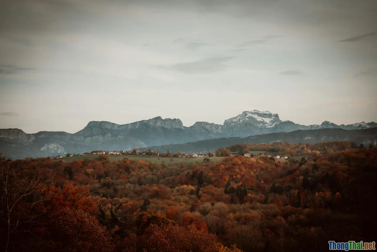 neutral colors, natural light