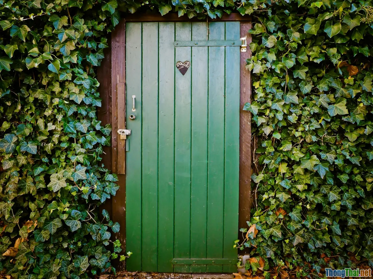 old wooden cabinet, dust, hidden gems