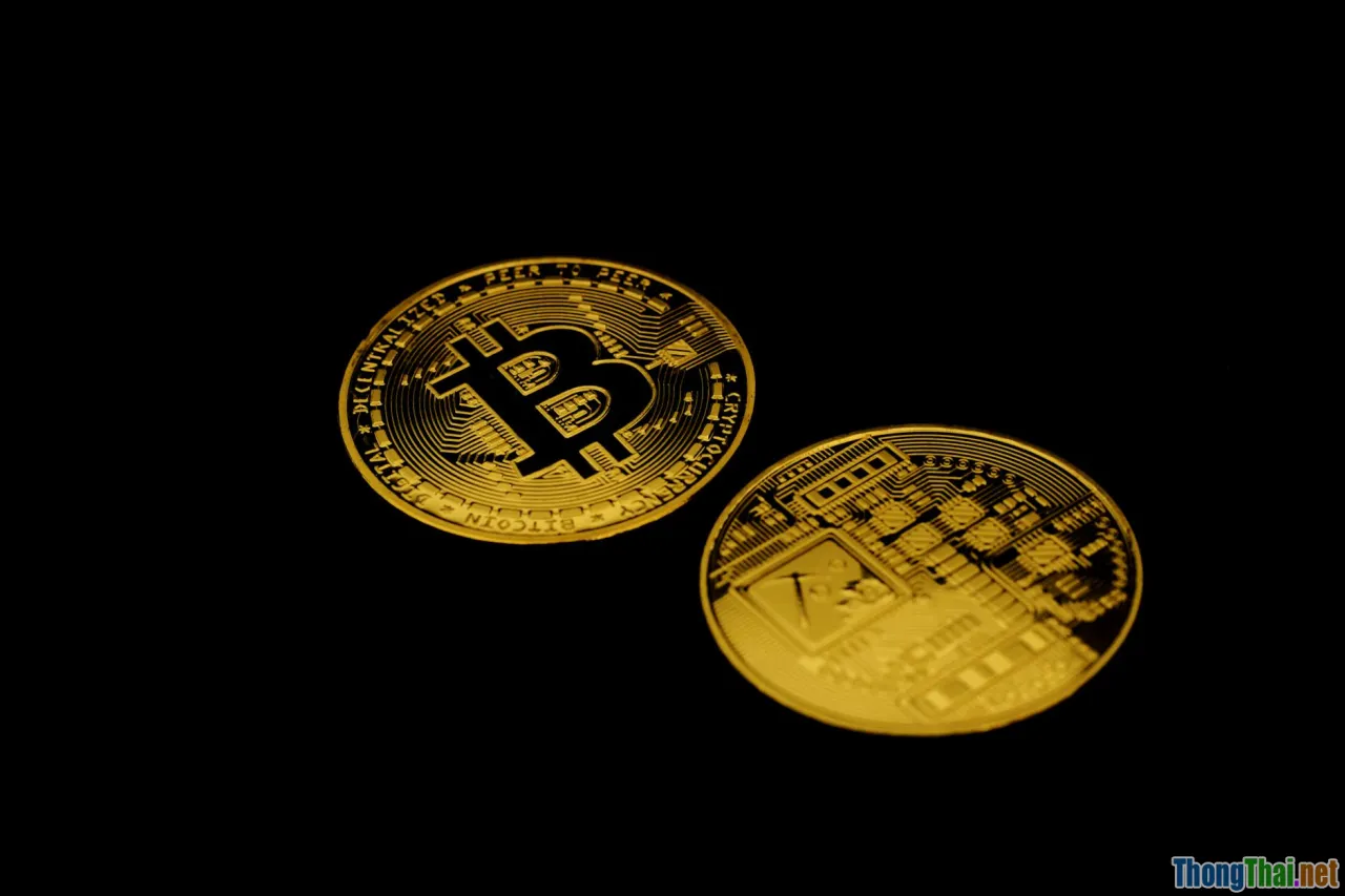 online earning, referral network