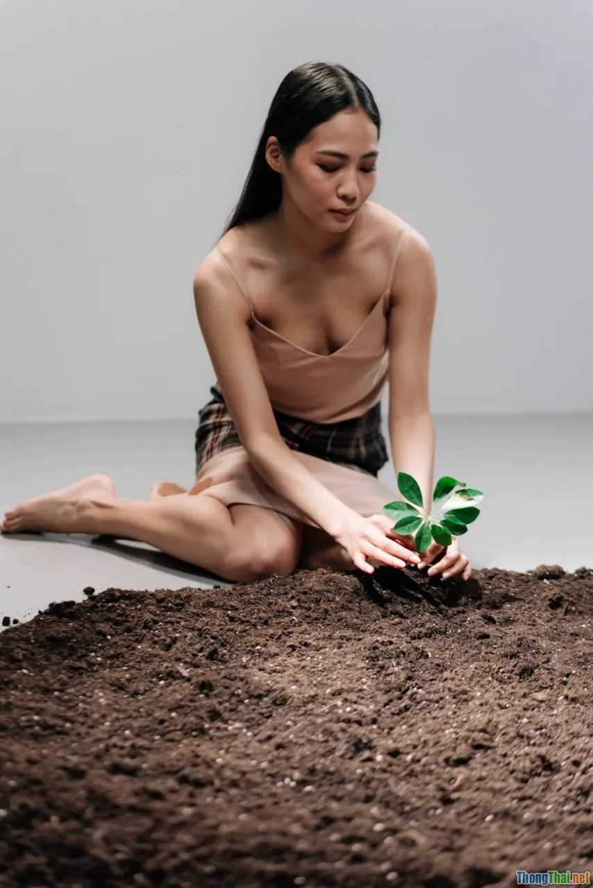 overwatering, etiolation, root rot, plant care