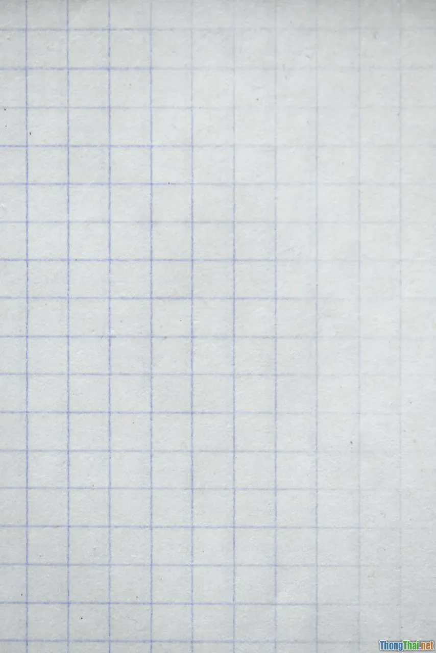 paragraph structure, topic sentence, essay organization