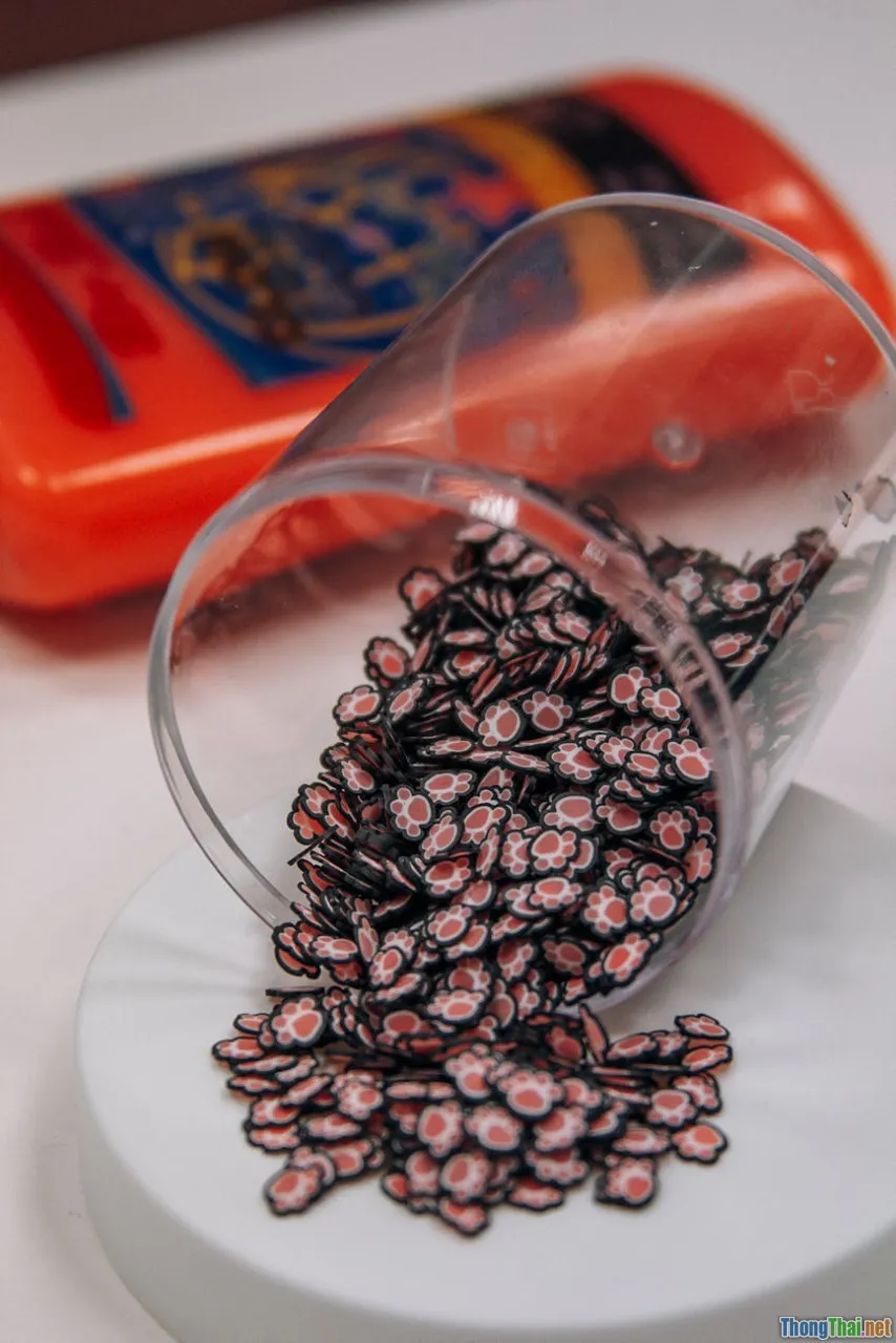 Top đồ chơi thông minh DIY cho tộc thú cưng