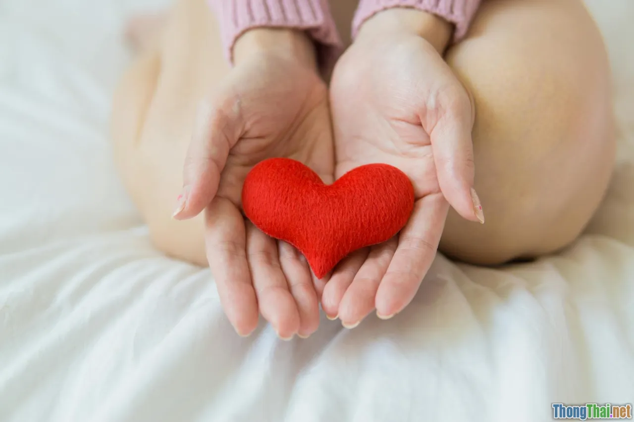 pet health, home care, medicine