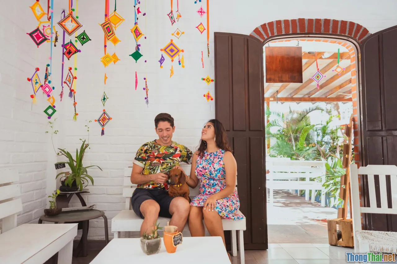 Danh sách loại cây an toàn khi vừa chăm thú cưng vừa làm đẹp nhà