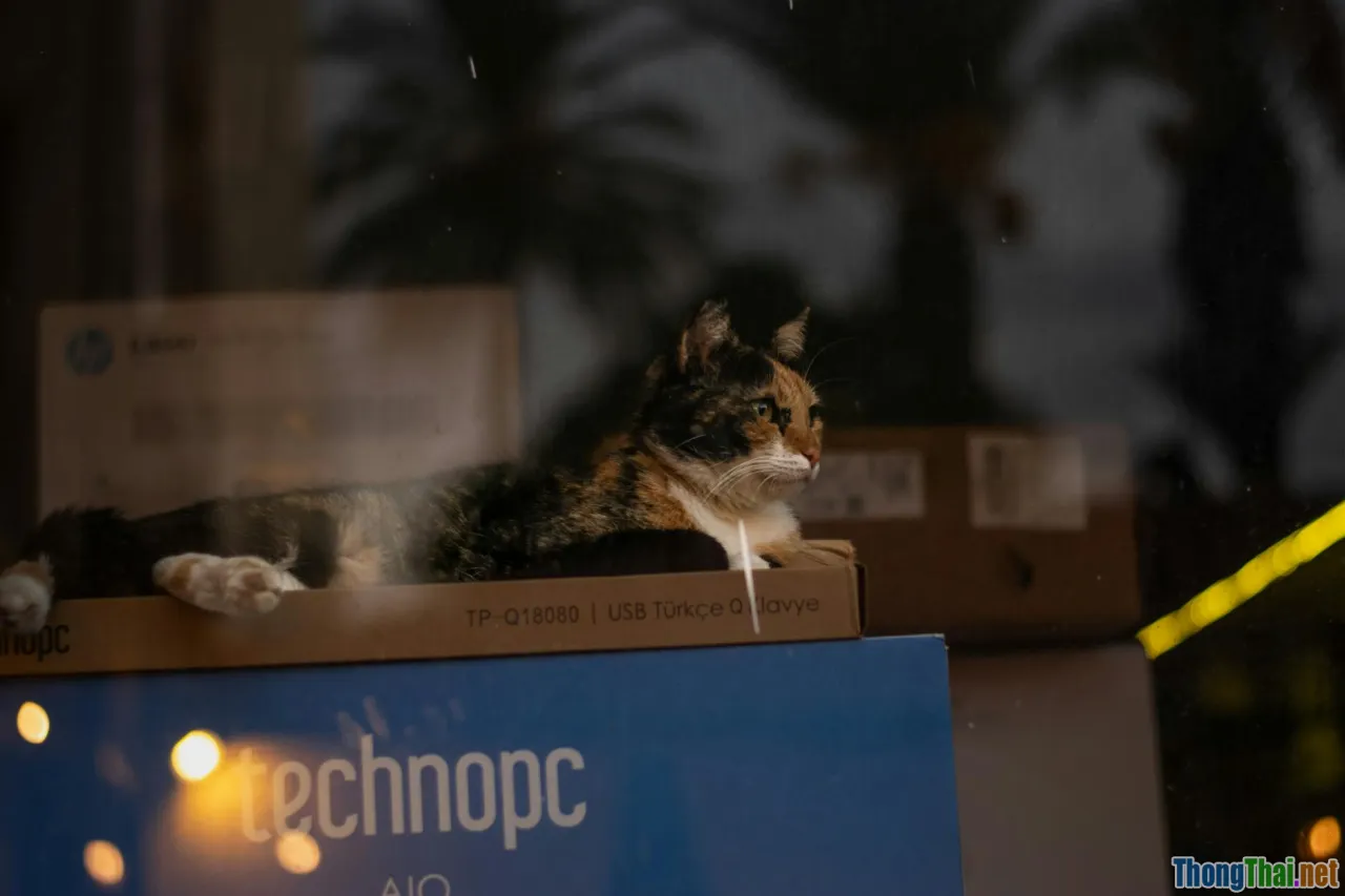 pet tech, telemedicine