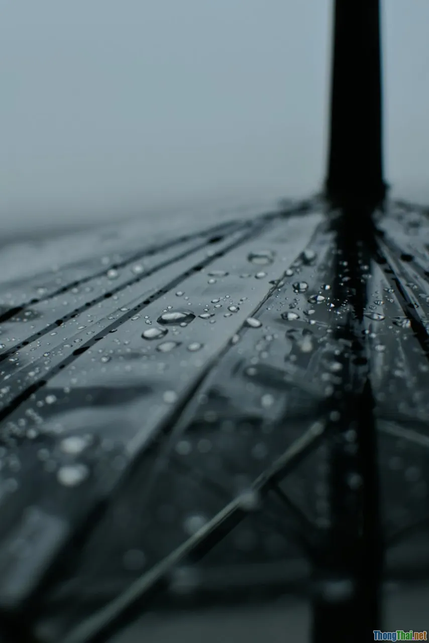 photography, long exposure, raindrops, umbrella