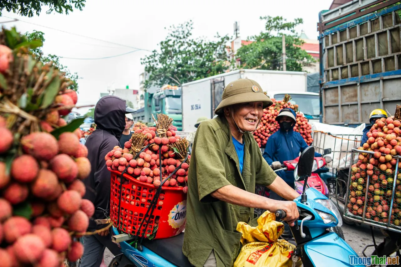 pod business, vietnam market