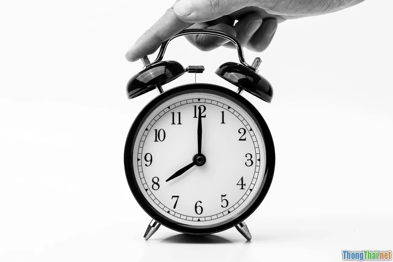 polyphasic sleep, sleep schedule hacking