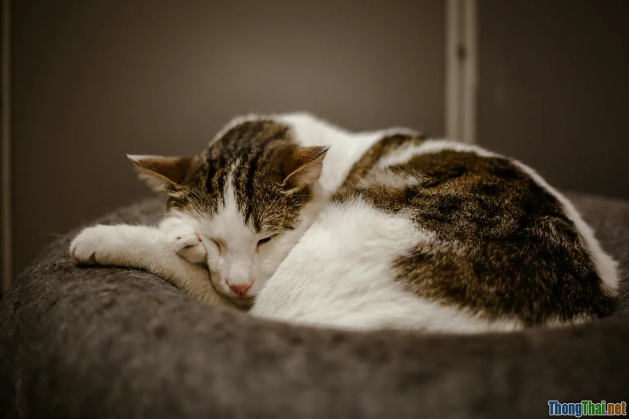 readability, scannable content