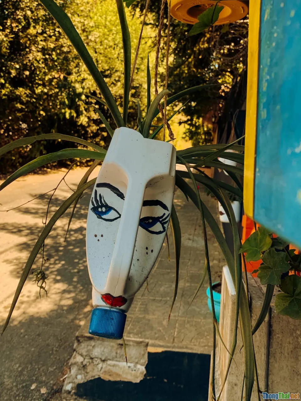 Review top 7 ý tưởng chậu cây tái chế cực chất từ đồ cũ trong nhà