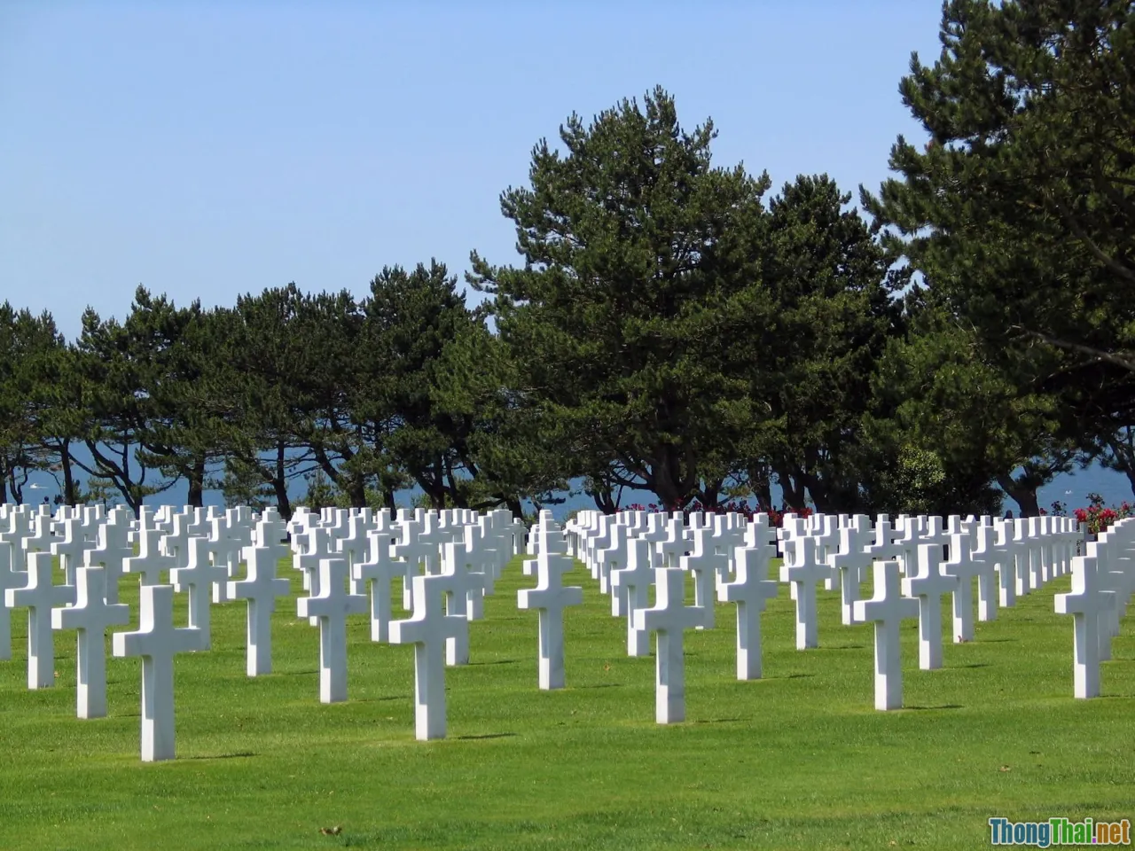 remembrance, veteran gaze, soldier cemetery