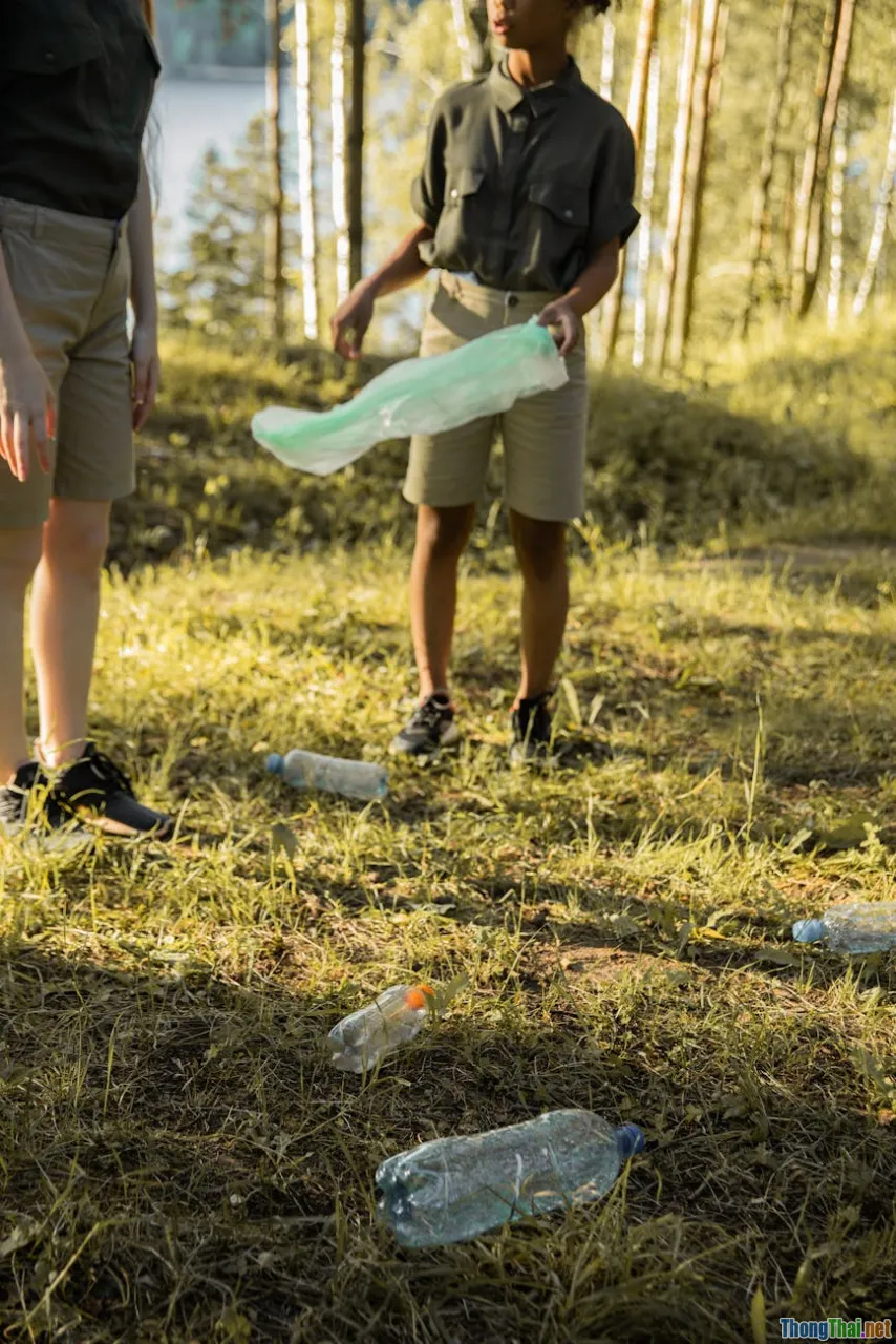 restoration, preservation, youth activities