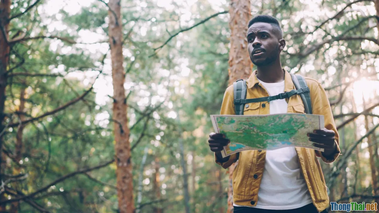 roadmap, decision tree