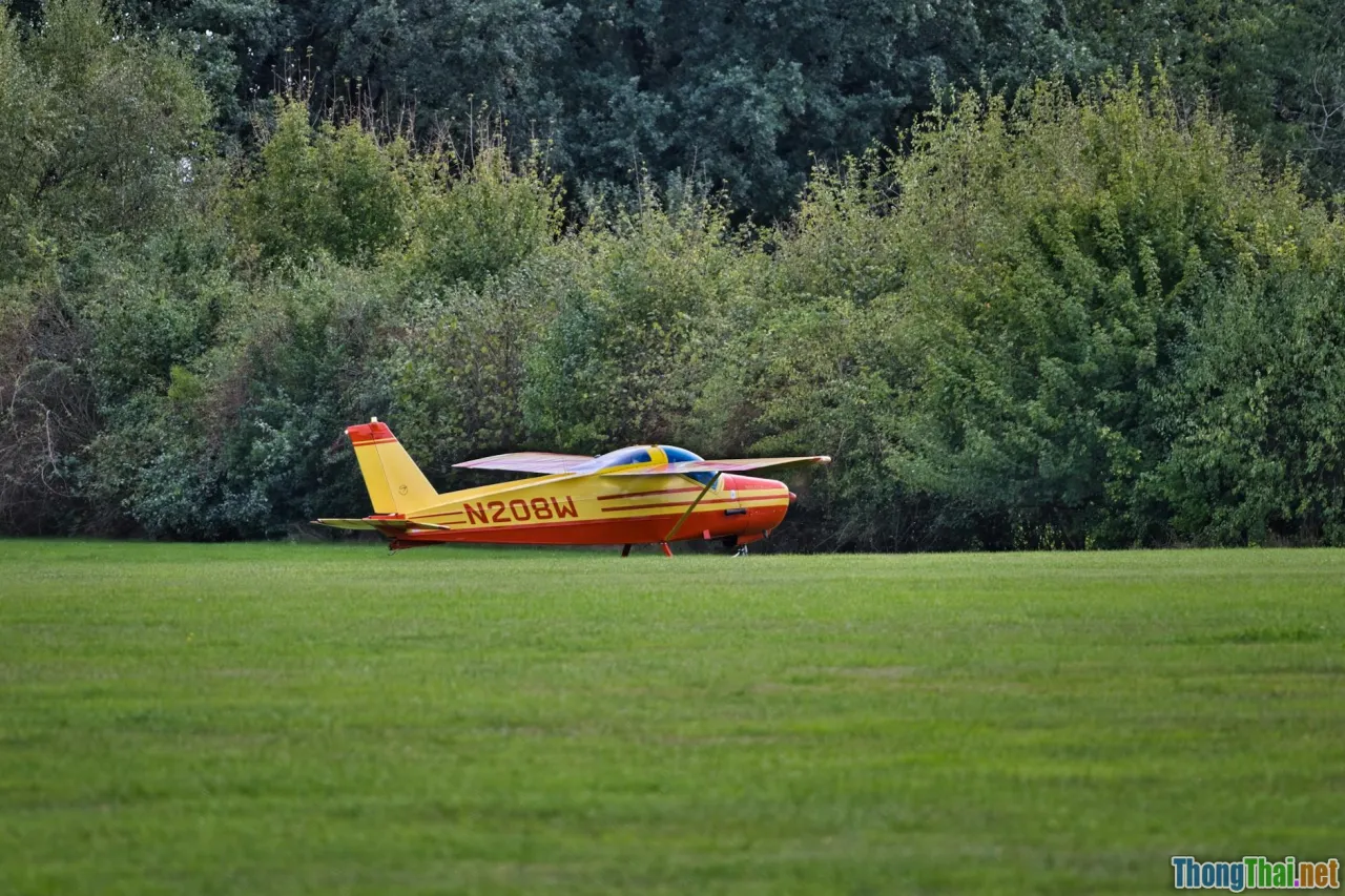 roadmap, pilot, rollout