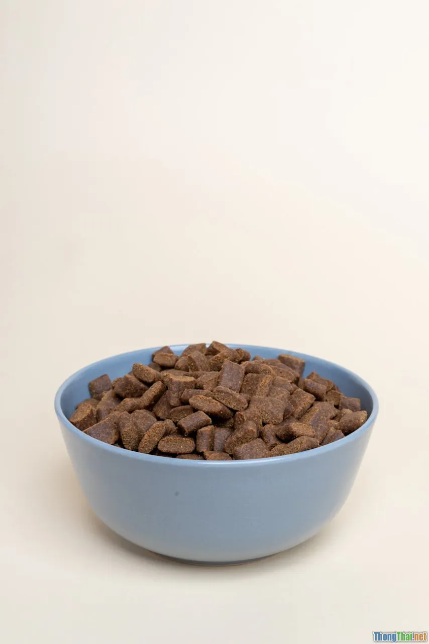 sample menu, kibble and wet food