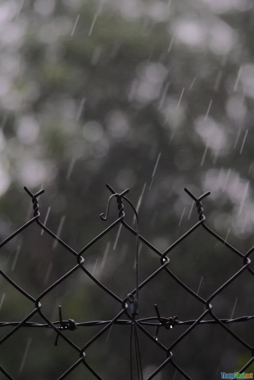 season, map, rainfall, temperature