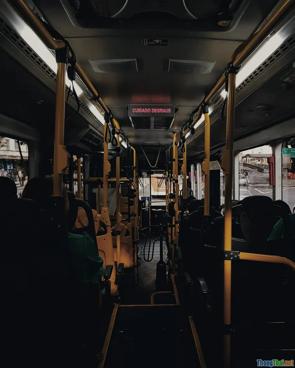 seasonal transition, immune system, pollen, temperature