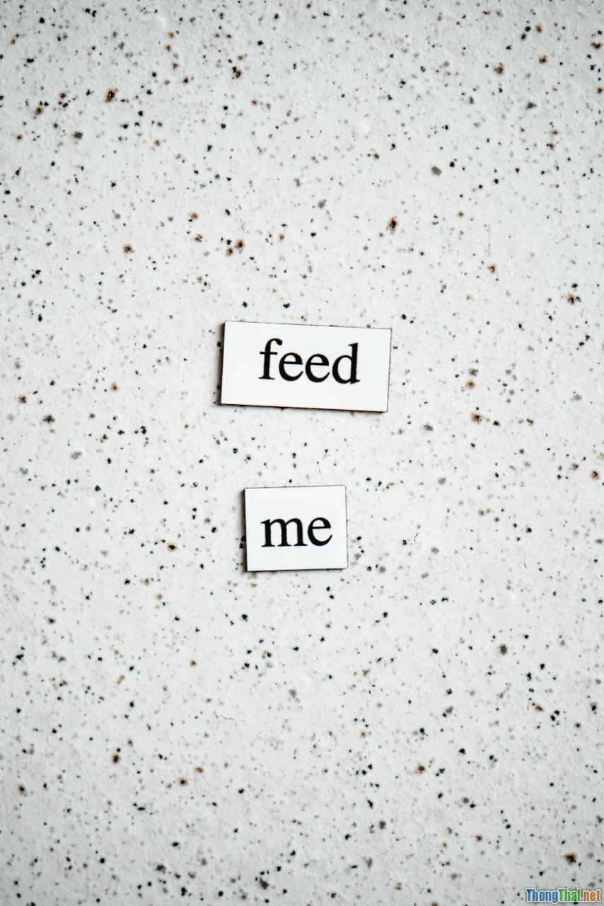 sentence structure, subject, style