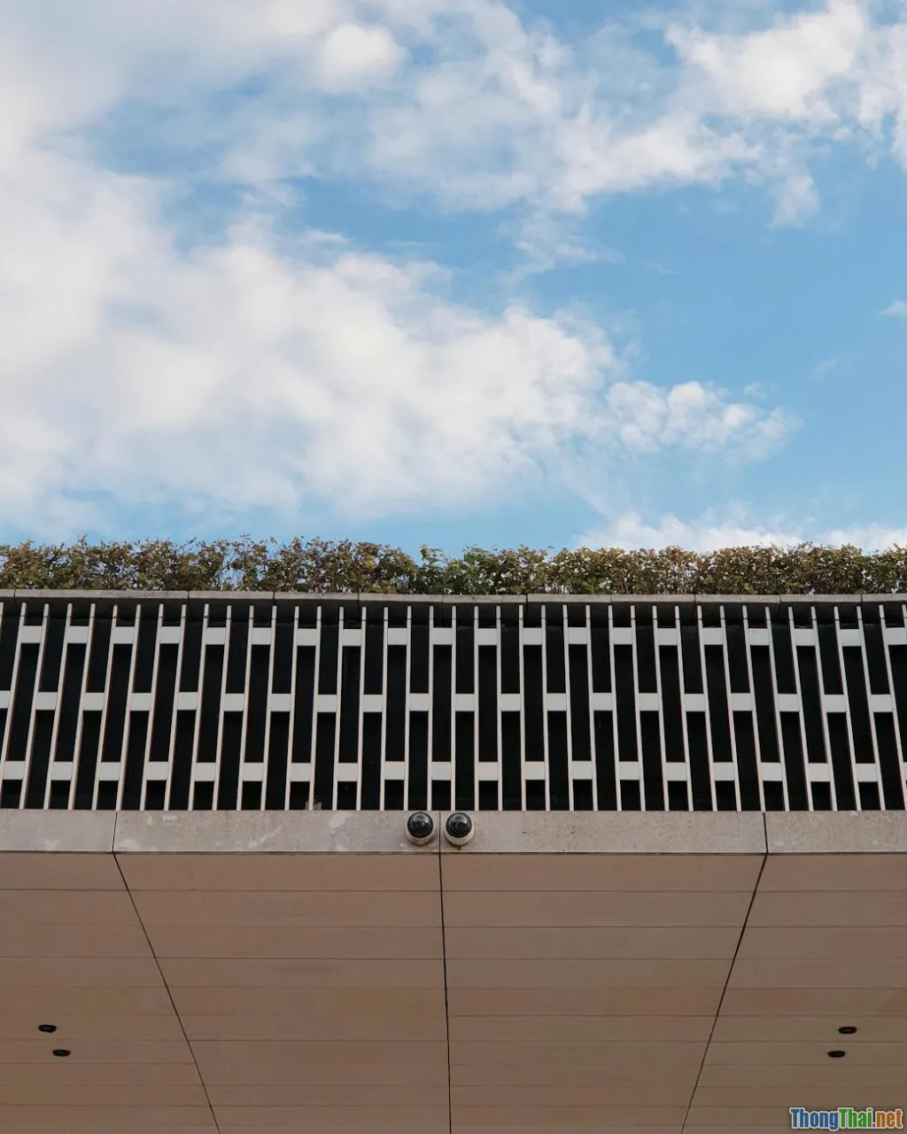 sneaker technology, innovation, sustainable materials