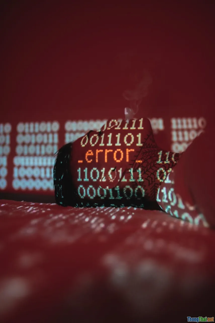 software integration, data inconsistency, system error